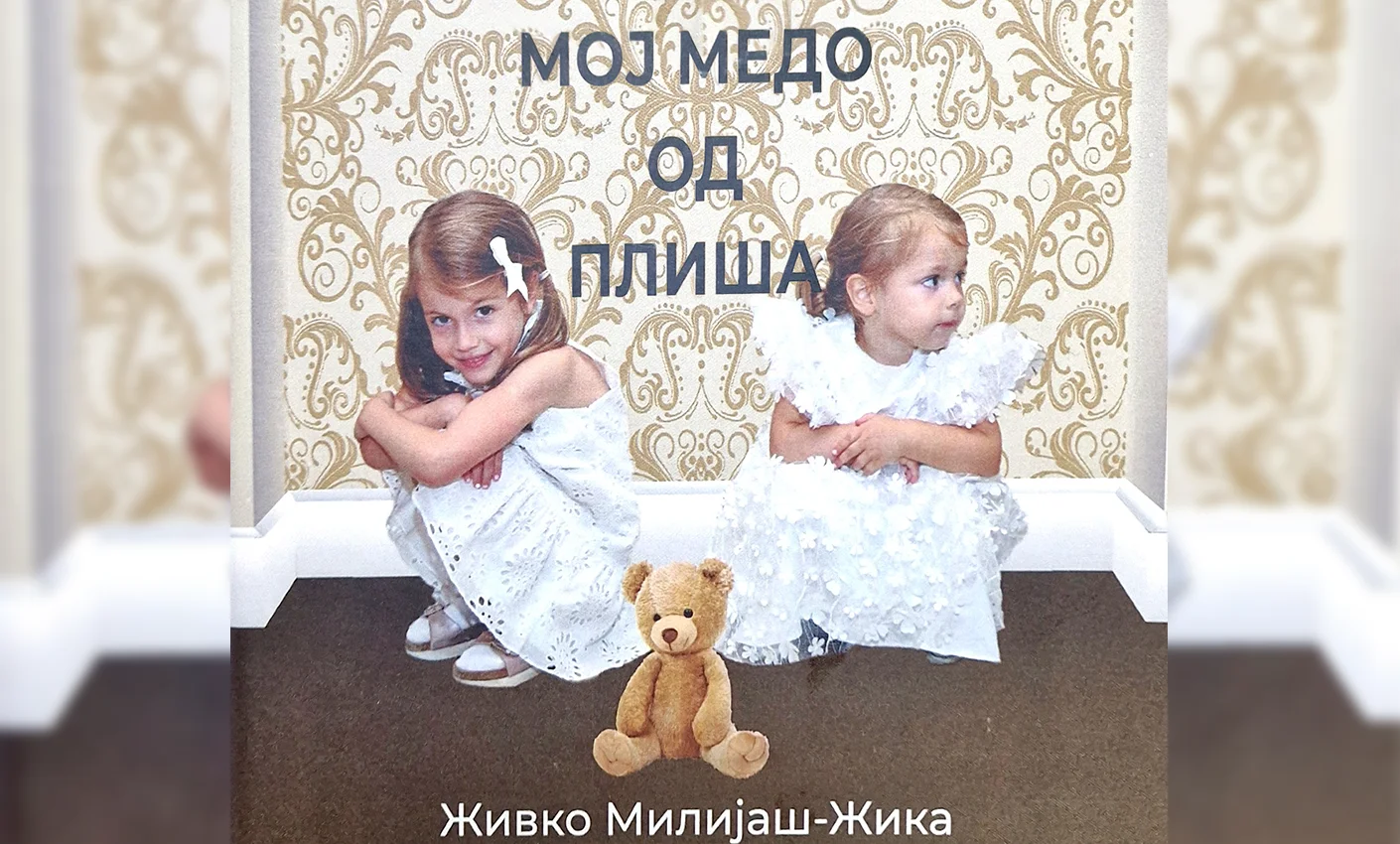 Мој медо од плиша