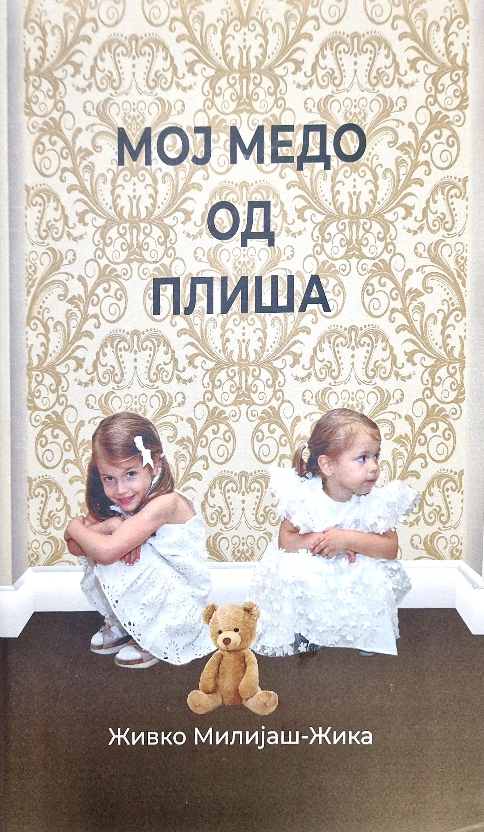 Мој медо од плиша